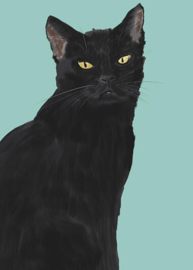 Black tom cat on a gray-green background with the caption: "I'd never knock YOU off the counter.. I LOVE you!"
