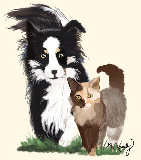 A border collie and a calico cat look walk in the grass on a yellow background. The caption above them says, "I've missed you!"